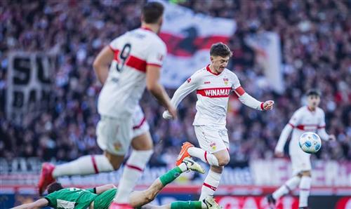 Vamos Bet Net: Ultimate Guide to Online Betting